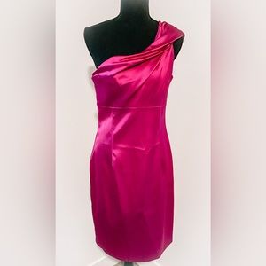 David Meister fuchsia cocktail dress.